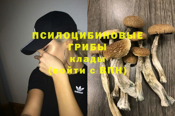 ПСИЛОЦИБИНОВЫЕ ГРИБЫ Красноперекопск
