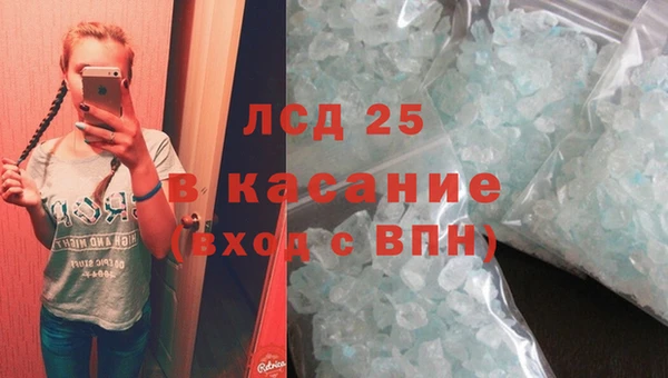 ГАЛЛЮЦИНОГЕННЫЕ ГРИБЫ Краснотурьинск