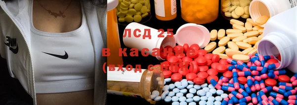 ГАЛЛЮЦИНОГЕННЫЕ ГРИБЫ Краснотурьинск