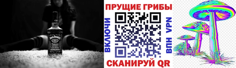 дарнет шоп  Мглин  Галлюциногенные грибы мухоморы 